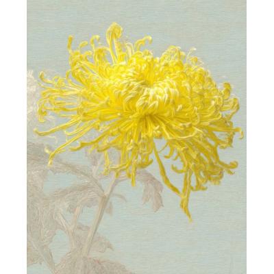 大芬油画村 手绘油画 黄菊写实装饰画 客厅卧室挂画 现代简约家居壁挂 高档艺术复制画 定制尺寸