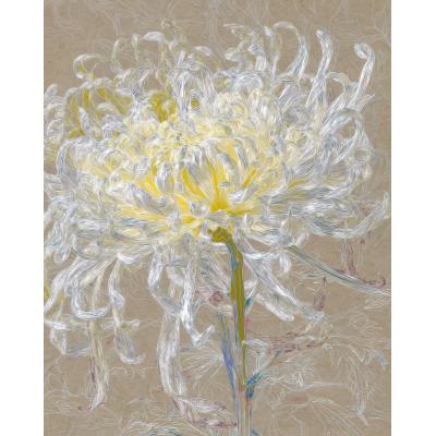 大芬油画村 手绘工笔线描白菊装饰画 仿旧纸质感 新中式禅意挂画 客厅书房卧室壁挂 定制尺寸