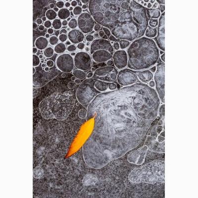 大芬油画村 手绘装饰画 冬日冰面落叶特写挂画 冷色调自然意境...